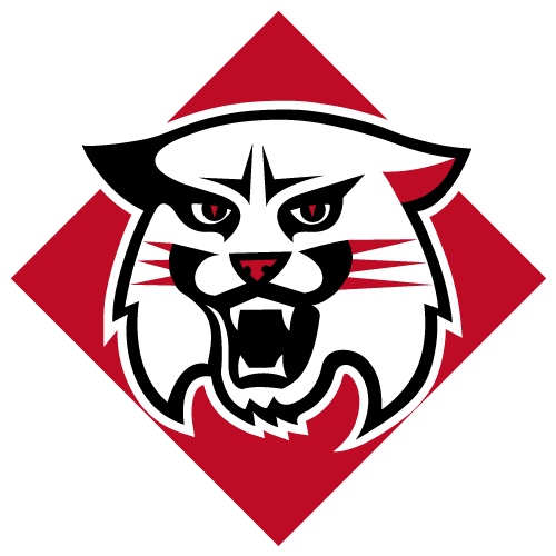 Davidson Wildcats Odds & Bets