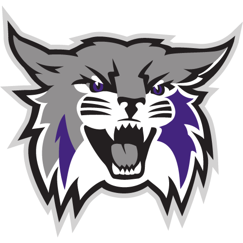 Weber State Wildcats Odds & Bets