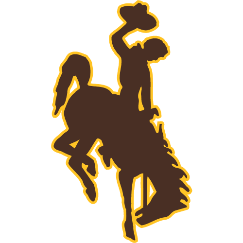 Wyoming Cowboys Odds & Bets